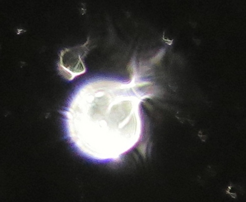 c0331825_03151030.jpg