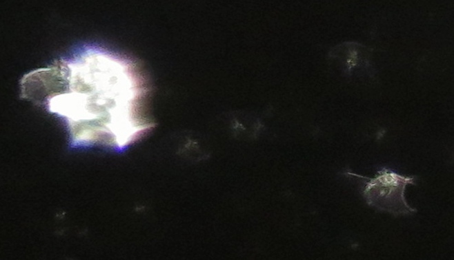 c0331825_03182394.jpg