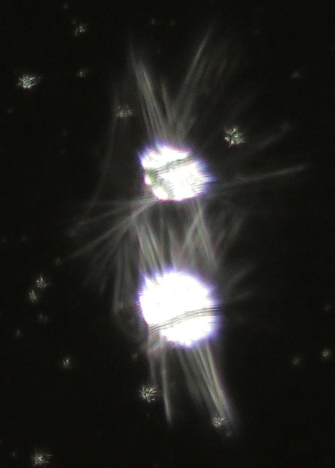 c0331825_03195686.jpg