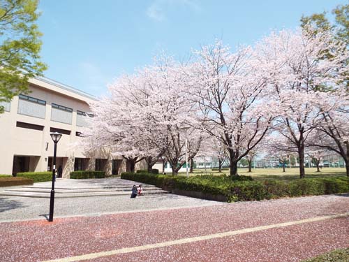筑波学院大学　新入生スクエアダンス体験 (４月６日)_b0337729_22295136.jpg