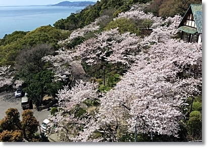 乗り物フェチにはたまらない、須磨浦山上遊園_d0017632_21414174.jpg