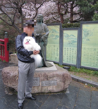 今が満開の有馬(2)_b0177436_14352563.jpg