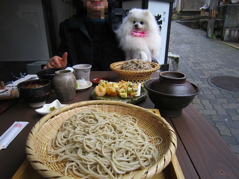 今が満開の有馬(2)_b0177436_14392054.jpg