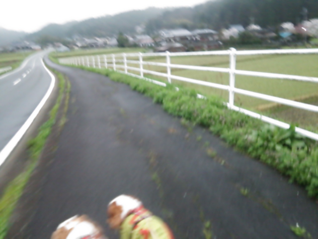 ノエル 少し痩せました_e0145441_745398.jpg