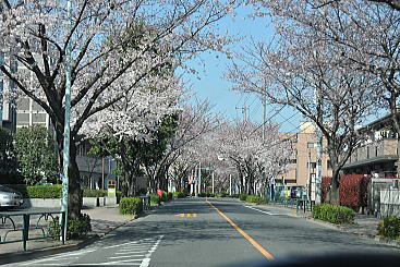 f0094843_20243328.jpg