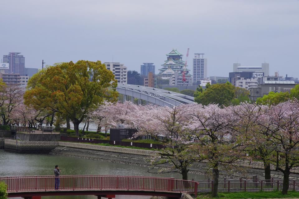 散りゆく桜…_e0142357_22255461.jpg