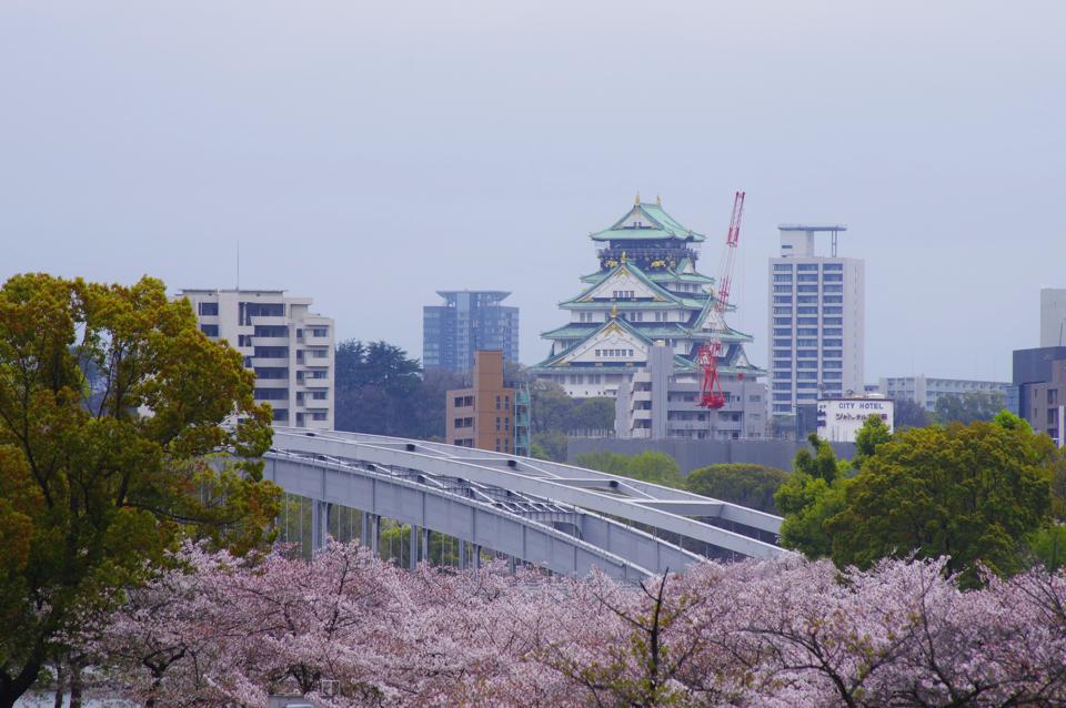 散りゆく桜…_e0142357_22265613.jpg