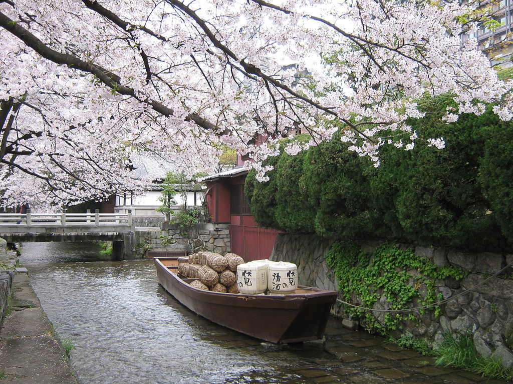 京都の桜・・・木屋町から_a0057559_10595016.jpg