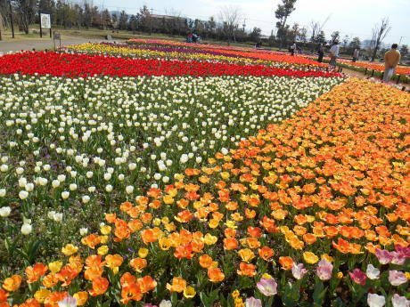 e0192960_12013293.jpg