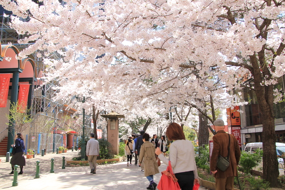 花のみち　阪急宝塚。_d0202264_17501219.jpg