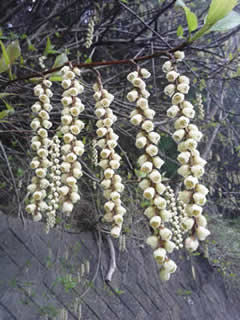 c0177665_16144157.jpg