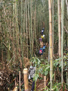 c0177665_16155338.jpg