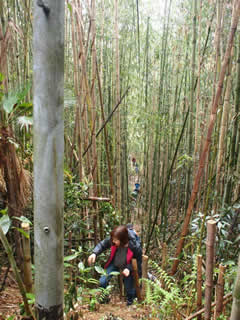 c0177665_16155940.jpg