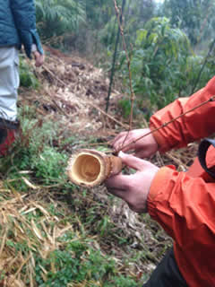 c0177665_1616145.jpg