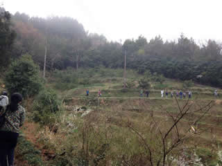 c0177665_16162252.jpg