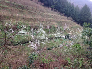 c0177665_16163824.jpg