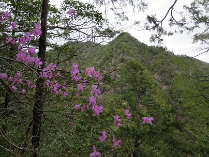 一ノ又692ｍ　　砥沢より周回_f0302771_1159453.jpg