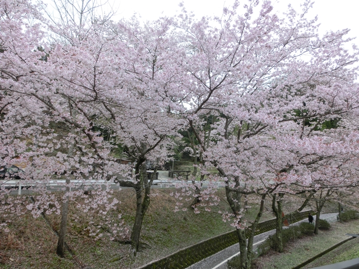 a0199979_1828495.jpg