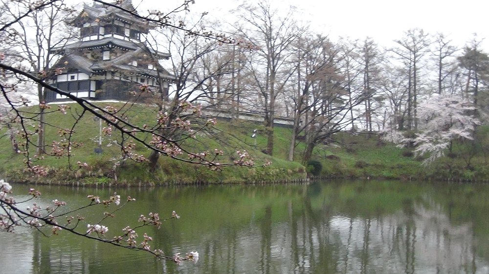 高田公園の桜ーパノラマ！_e0065084_19424935.jpg