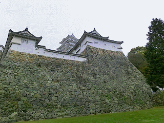 a0109288_8405432.gif