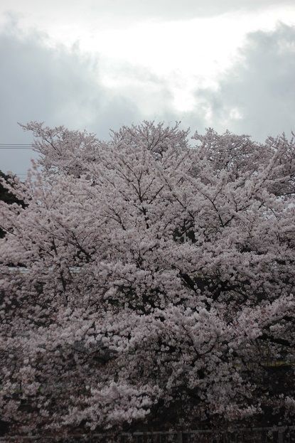 f0014391_09562609.jpg