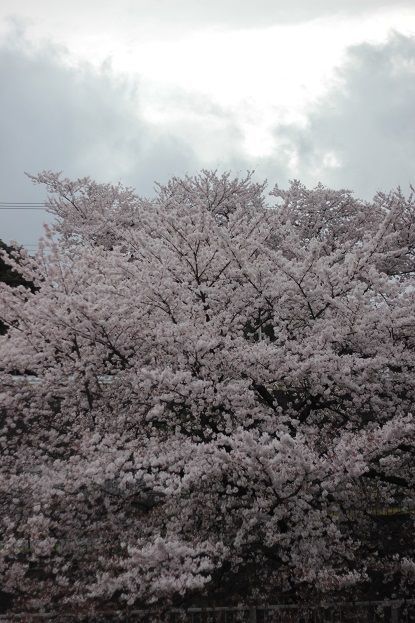 贅沢な景色_f0014391_09562609.jpg