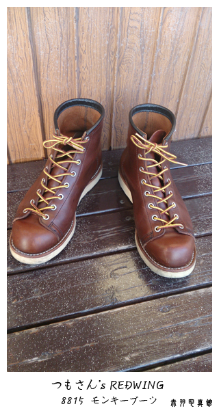 redwing 8815