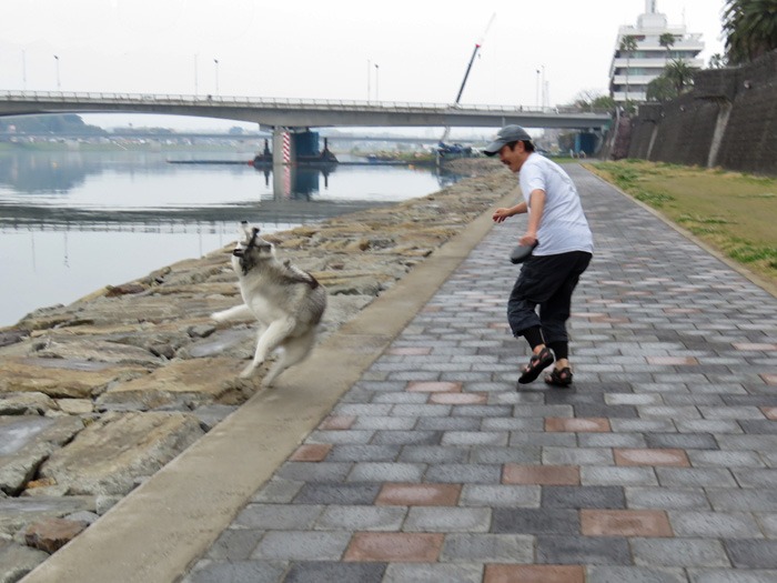 帰って来たピーちゃん、そして夏の予感？　(*^_^*)_c0049299_22423138.jpg