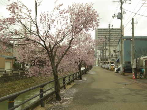 e0087201_21593929.jpg
