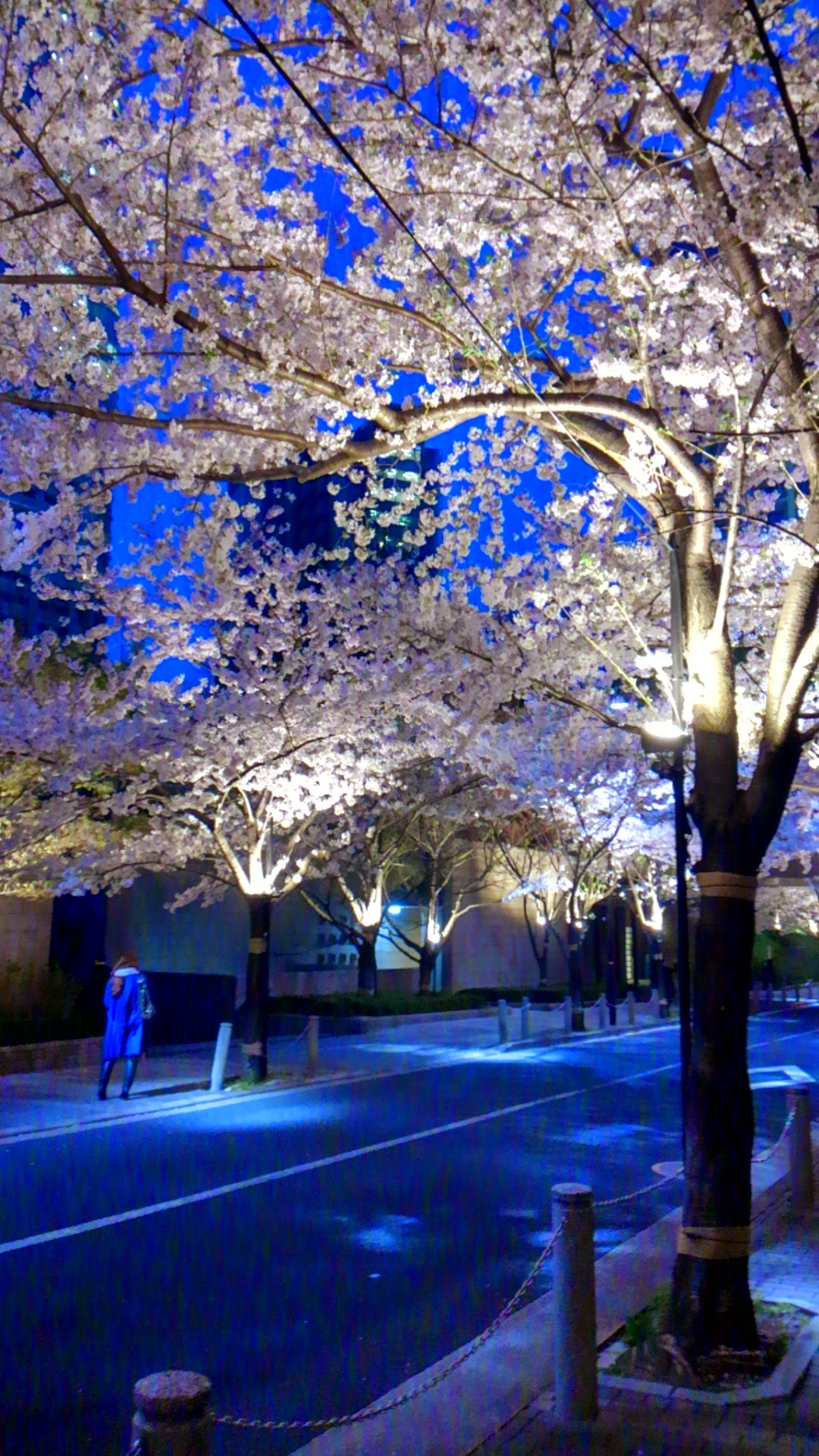 a0224502_23542965.jpg