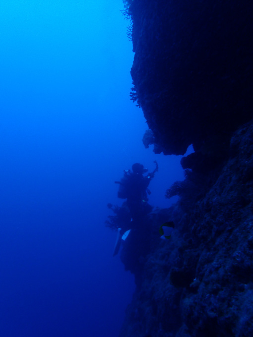 a0337713_17532024.jpg