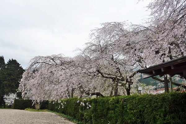 d0025414_0261169.jpg
