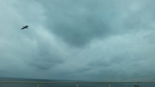 f0219716_728729.jpg
