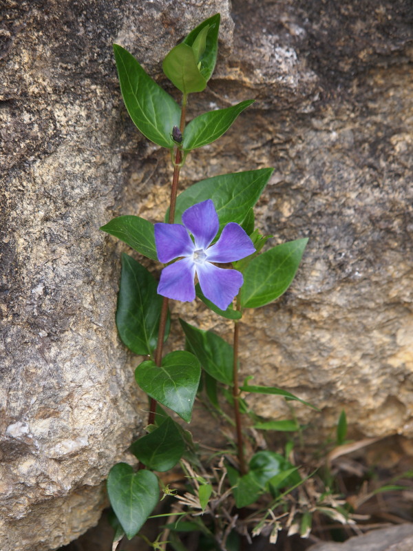 f0330321_20402627.jpg