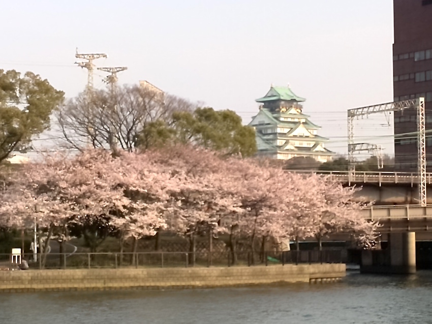 桜の季節は雨続き_d0048332_15272425.jpg