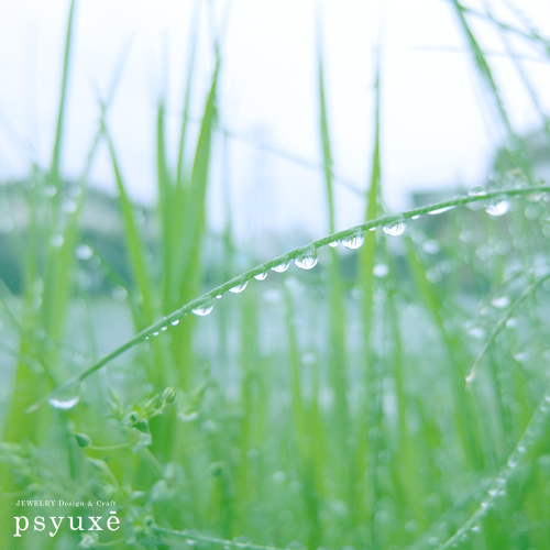 4月、雨が降る_e0131432_16241161.jpg