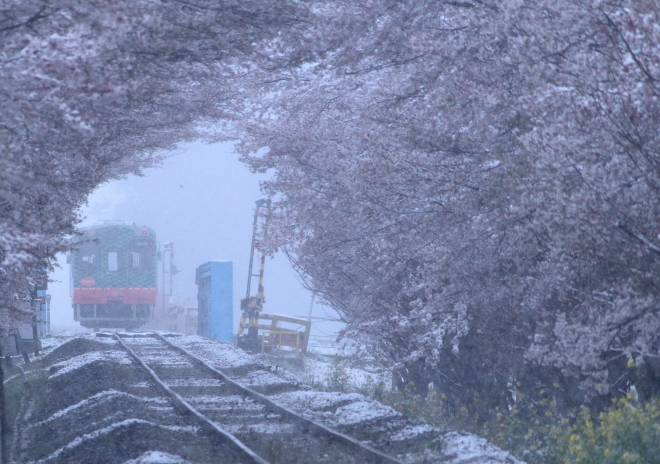 4月8日、季節はずれの雪が降る!_e0227942_22395235.jpg