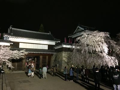 夜桜見物_a0292043_21151491.jpg