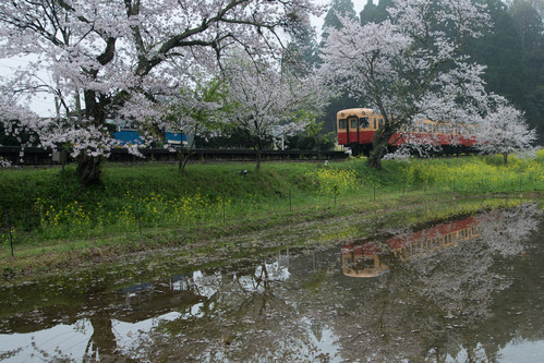 いすみ鉄道_c0153446_2024371.jpg