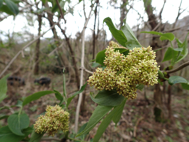 f0214649_55410.jpg