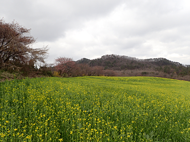 f0214649_563561.jpg