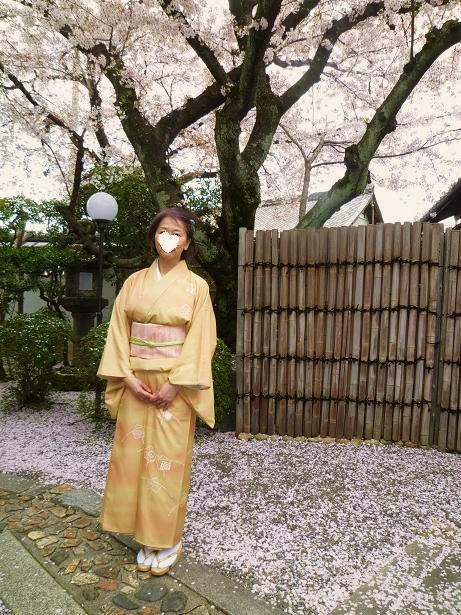 北野をどり・桜の下のお客様の着物姿。_f0181251_18435210.jpg