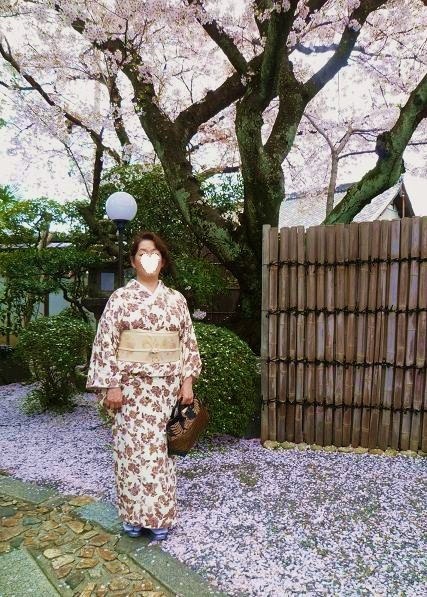 北野をどり・桜の下のお客様の着物姿。_f0181251_1850173.jpg