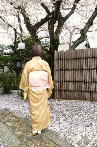 北野をどり・桜の下のお客様の着物姿。_f0181251_18563433.jpg