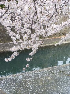 続・ダムの話題3つ -(3)石木ダム_f0197754_16193132.jpg