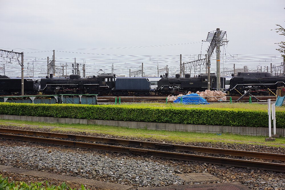 梅小路蒸気機関車館 扇形車庫_c0112559_949355.jpg