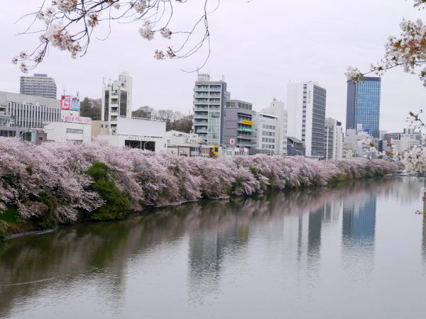 神楽坂　ル・コキヤージュで土日ランチ_b0282061_10323145.jpg