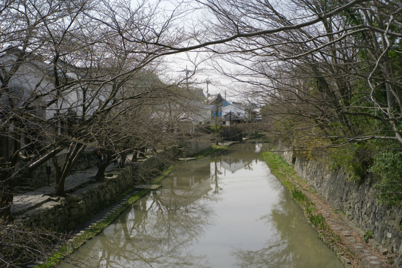 a0022762_06521007.jpg