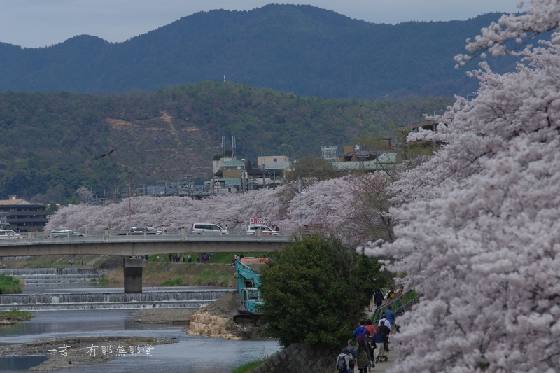 京都・桜色の頃　#4_a0157263_22392998.jpg