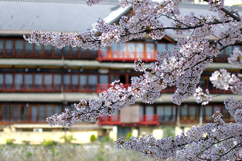 京都・桜色の頃　#4_a0157263_22395565.jpg